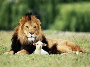 the_lion_and_the_lamb